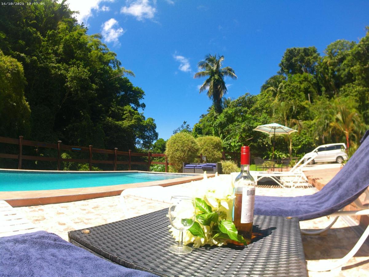 Toraille Waterfall Poolside Apartment Soufriere Exterior photo